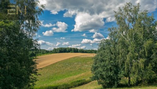 OKAZJA CENOWA 1,41 ha widokowej działki w Pstrągowej